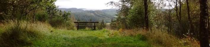 A lush green pathway through trees, leading to distant hills under a cloudy sky.